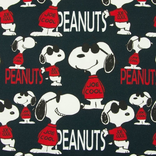 Peanuts Snoopy Jersey dunkelblau